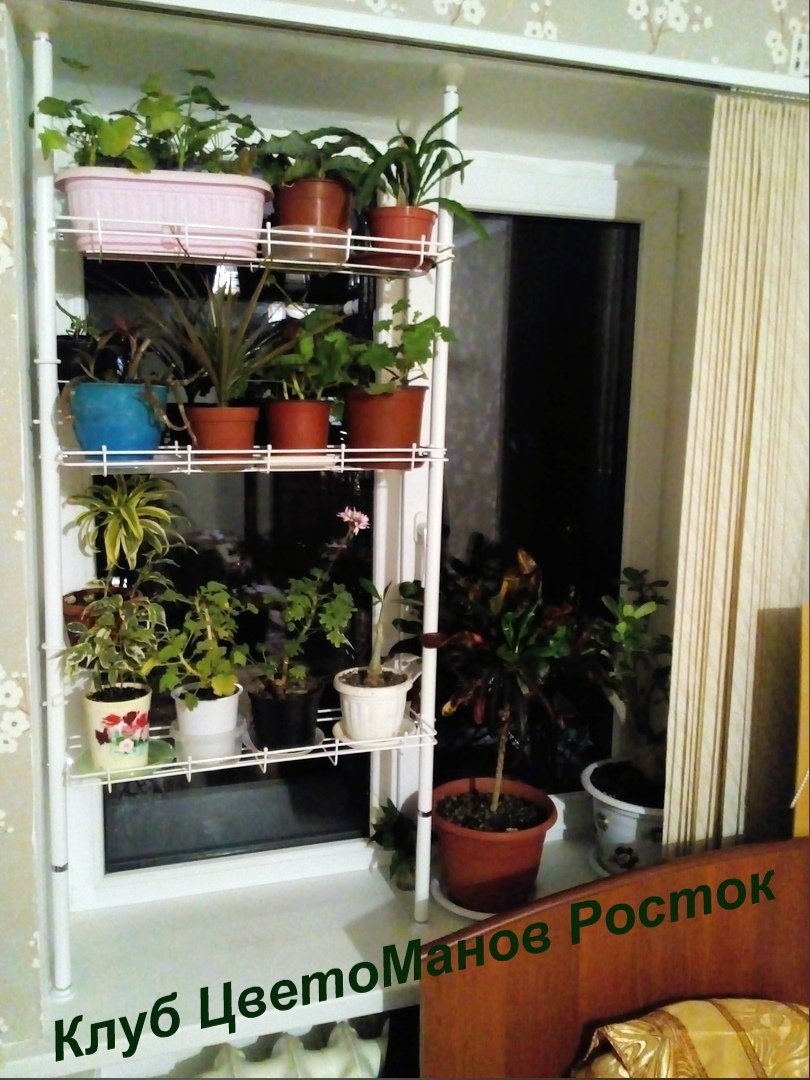 распорный стеллаж для растений и рассады на подоконник. Фото N17